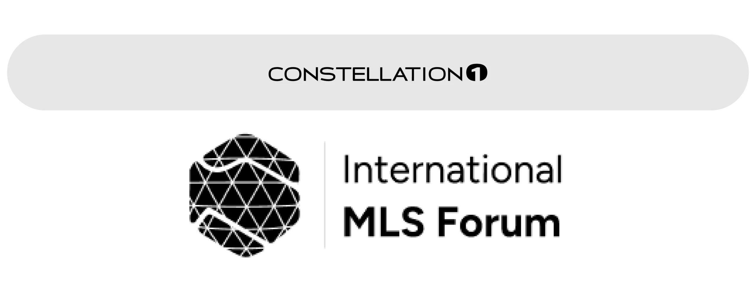 International MLS-2025